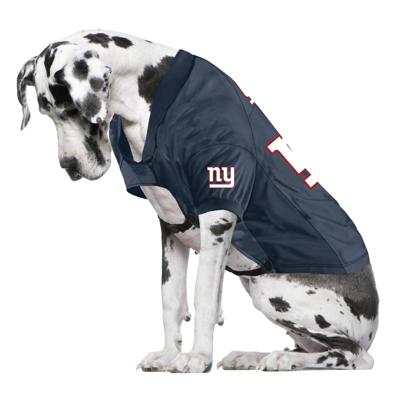 NFL New York Giants licensed Pet Jersey