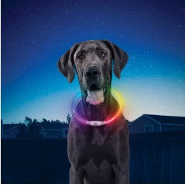 Mini Rechargeable LED Safety Necklace
