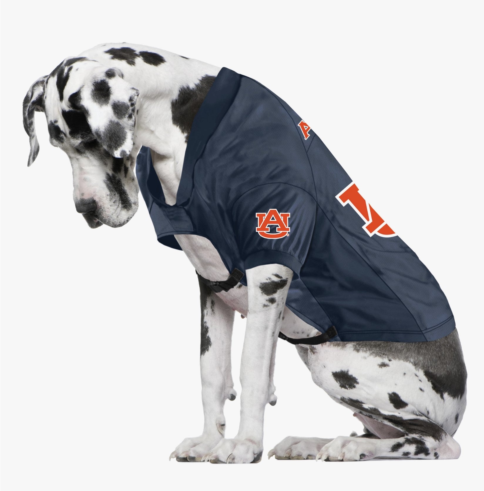 NCAA Auburn Tigers licensed Pet Jersey LaVa Pooch Boutique