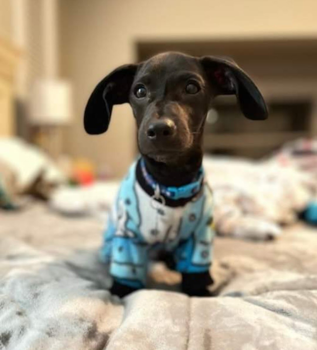 Charlie Brown PJ's