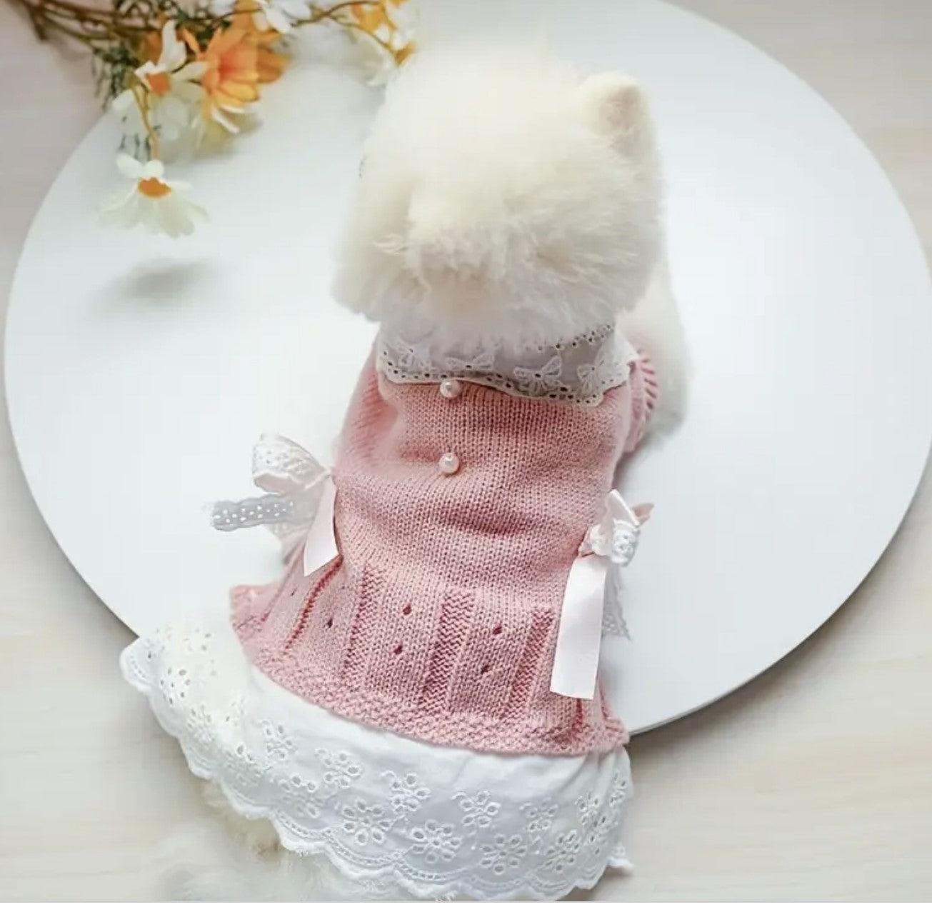 Spring sweater pet dress with bow knots